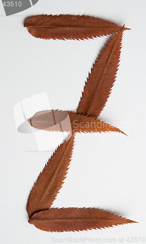 Image of Z letter: alphabet and numbers with autumn brown red dry leaf on white background