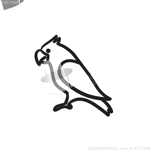 Image of Parrot sketch icon.