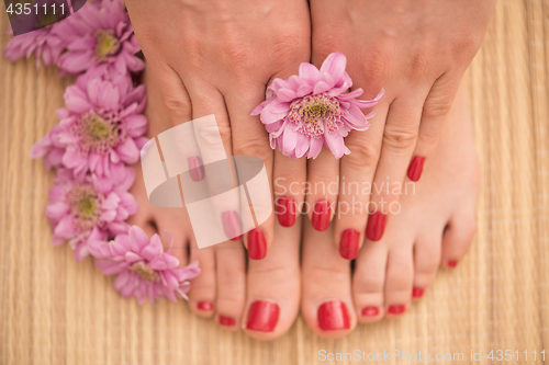 Image of female feet and hands at spa salon