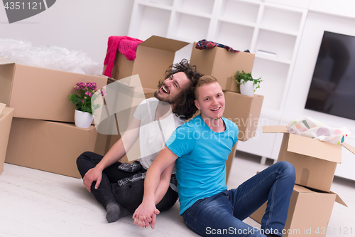 Image of young  gay couple moving  in new house