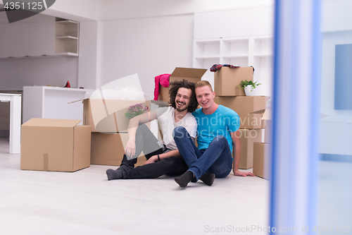 Image of young  gay couple moving  in new house