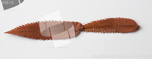 Image of Minus symbol: alphabet and numbers with autumn brown red dry leaf on white background