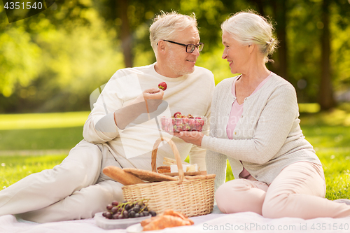 Image of senior couple with strawberries at picnic in park