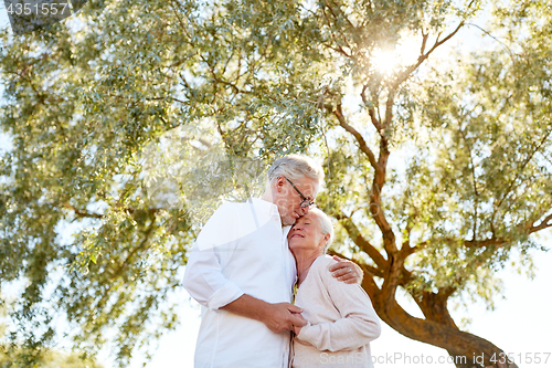 Image of happy senior couple hugging at summer park