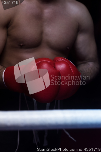 Image of kick boxer with a focus on the gloves