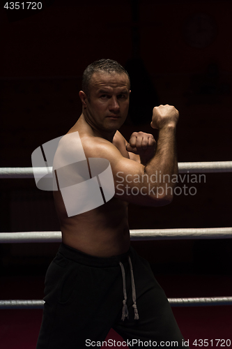 Image of professional kickboxer in the training ring