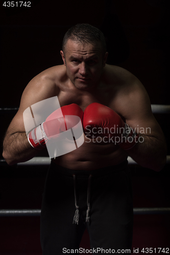 Image of professional kickboxer in the training ring