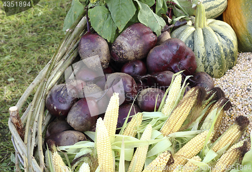 Image of Fresh raw vegetables