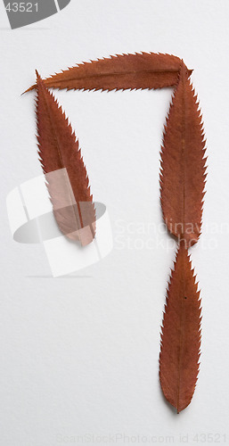 Image of Question mark symbol: alphabet and numbers with autumn brown red dry leaf on white background