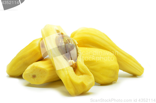 Image of Ripe jackfruit isolated