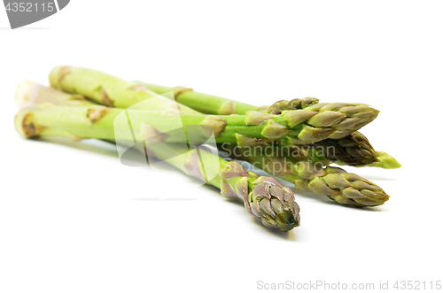 Image of Delicious isolated asparagus