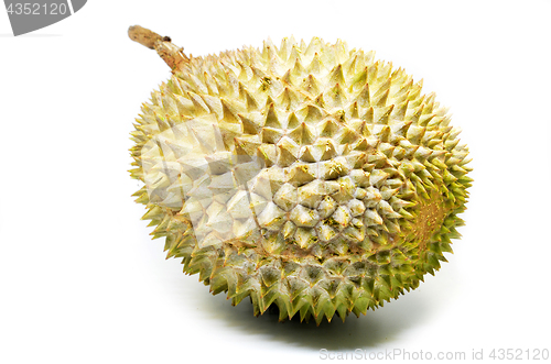 Image of Durian fruit isolated on white background