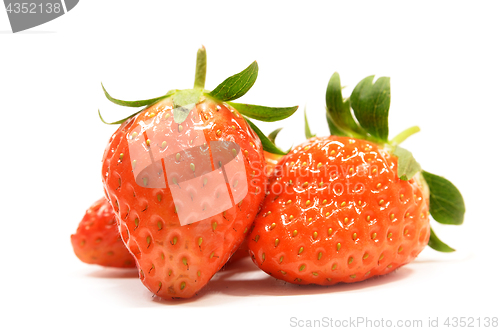 Image of Strawberry fruits isolated 