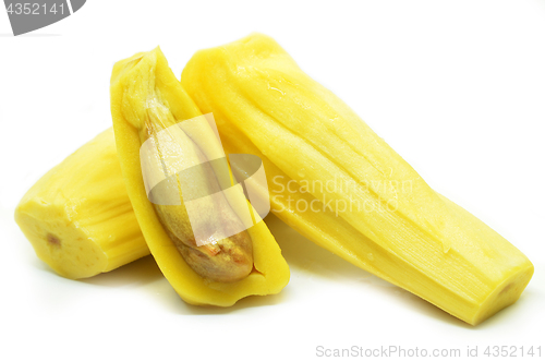 Image of Ripe jackfruit isolated