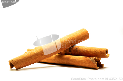 Image of Long cinnamon on a white background with soft shadow