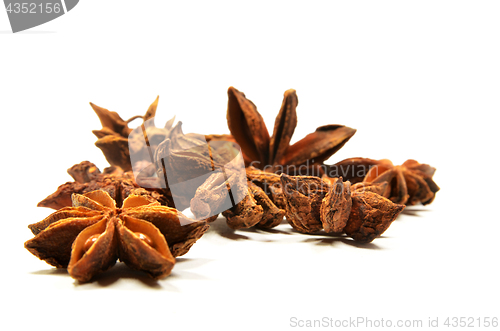 Image of Star anise spice fruit and seeds
