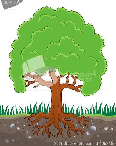 Image of Tree with roots theme image 3