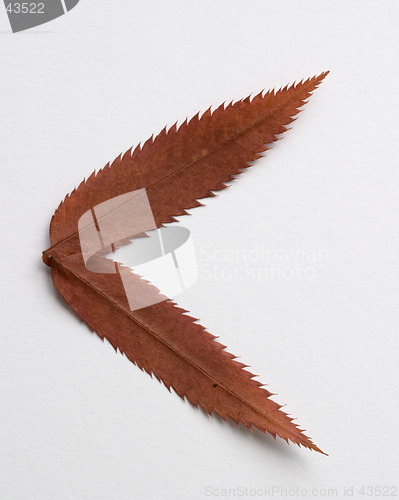 Image of Minor symbol: alphabet and numbers with autumn brown red dry leaf on white background