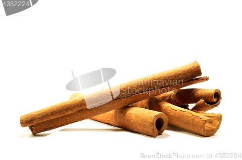 Image of Long cinnamon on a white background with soft shadow