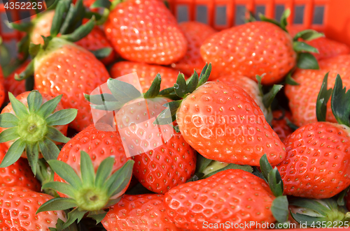 Image of Closeup on strawberries in basket 