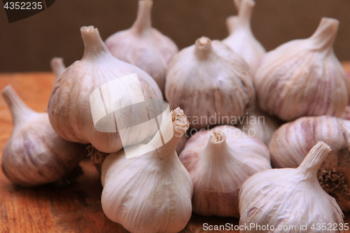 Image of aromatic garlic small group