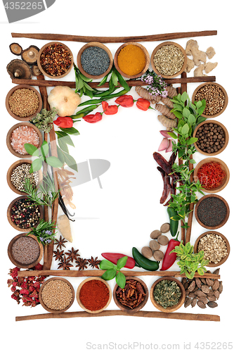 Image of Abstract Herb and Spice Border