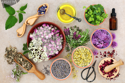 Image of Herbal Medicine Preparation