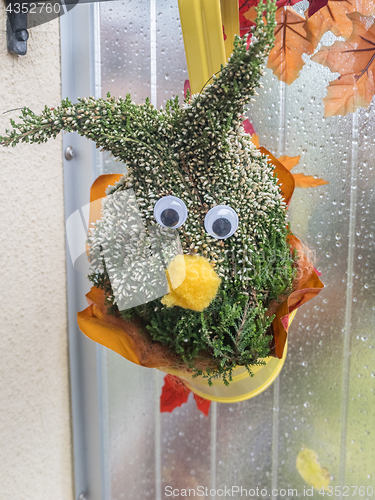 Image of Autumn Decoration