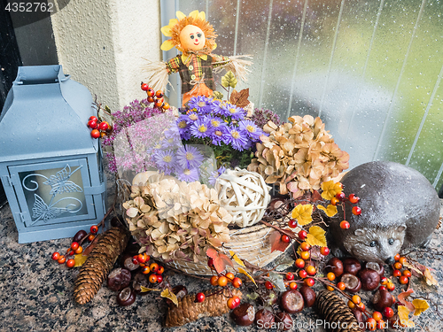 Image of Autumn Decoration