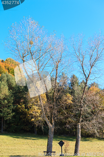 Image of Bavarian crossroads between Two trees