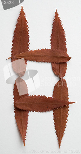 Image of Dash symbol: alphabet and numbers with autumn brown red dry leaf on white background