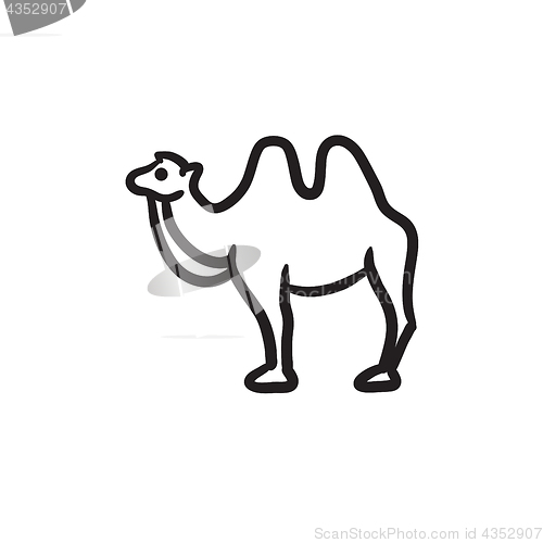 Image of Camel sketch icon.