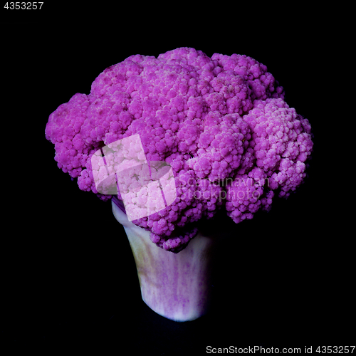 Image of Fresh Purple Cauliflower