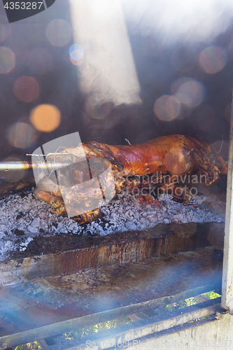 Image of Traditional balkan dish - whole piglet grilled on the open fire.