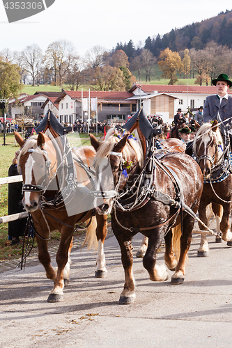 Image of Hundham, Germany, Bavaria 04.11.2017: Leonhardi ride in the Bavarian Hundham