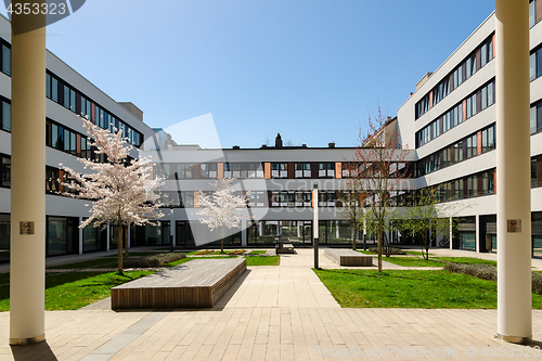 Image of Sakura spring blossom in courtyard of modern office building