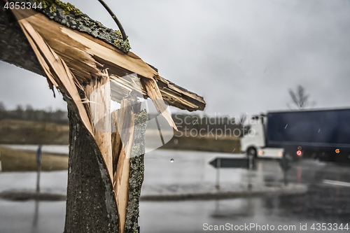 Image of Broken tree on street