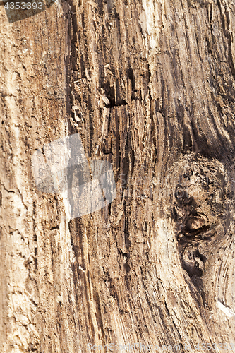 Image of old split wood