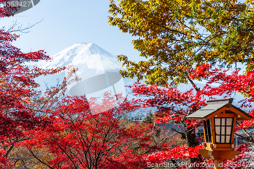 Image of Maple tree, japanese temple and mountain Fuji