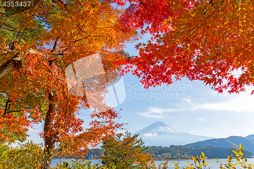 Image of Mt.Fuji in autumn 