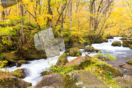 Image of Oirase Mountain Stream