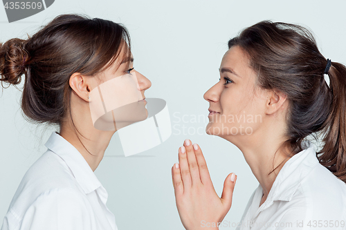 Image of Studio portrait of female twins