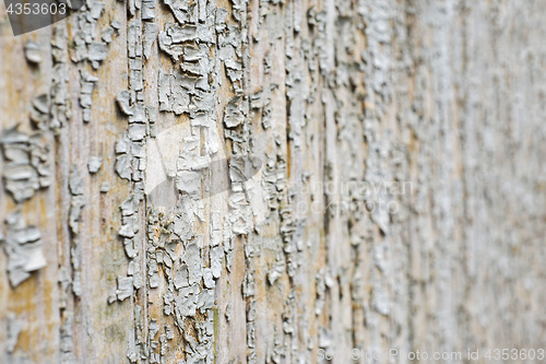 Image of old painted wooden plank