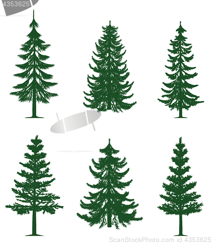 Image of Green pine trees collection