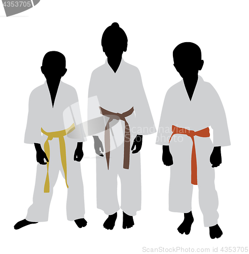 Image of Karate kids with different color belt rank