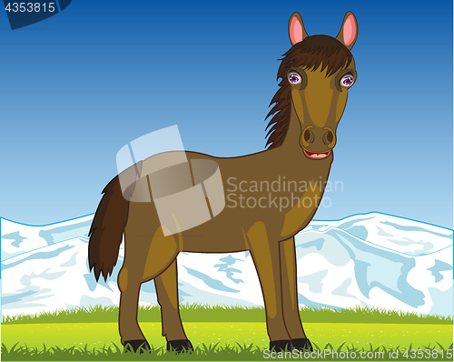 Image of Horse on pasture