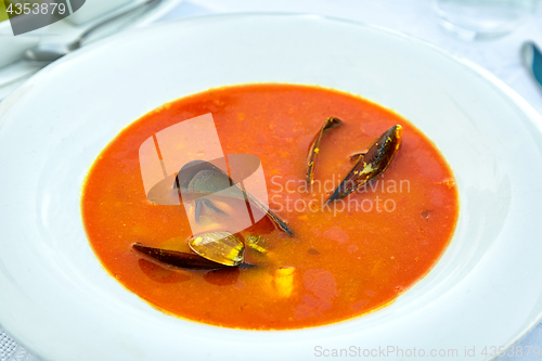 Image of Plate of mussel soup