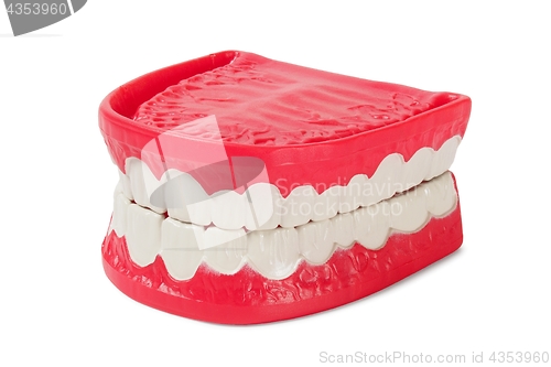 Image of Denture on white