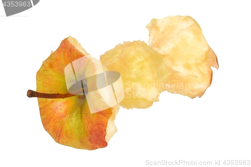 Image of Apple core on white