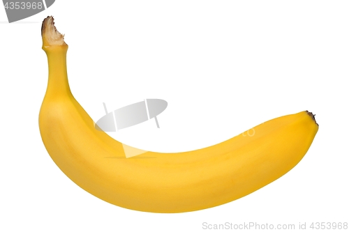 Image of Banana on white